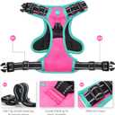 PHOEPET 2019 Upgraded No Pull Dog Harness, Reflective Adjustable Vest, with a Training Handle + 2 Metal Leash Hooks+ 3 Snap Buckles +4 Slide Buckles(S, Pink)