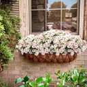 Lcuasc 10pcs Outdoors Artificial Mum Flowers UV Resistant Daisy Fake Silk Chrysanthemum Greenery Faux Eucalyptus Plants for Spring Summer Garden Patio Window Box Planter Home Decor(Pink)