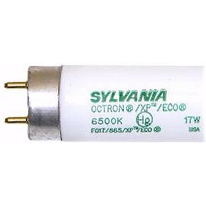 LEDVANCE Fluorescent 24" 17W T8 Lamp, 6500K Daylight, Coated, 1 Pack