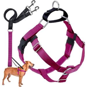 2 Hounds Design Freedom No Pull Dog Harness, Adjustable Harness and Leash Set, Easy Walking & Comfortable Control, Fits Small, Medium & Large Dogs, Solid Colors, Made in USA, 1" LG, Raspberry