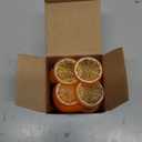 Woration 19 Pcs Artificial Fake Orange & Slices Blocks Set Simulation Fruits Model Realistic Oranges Home Decoration for Party Kitchen Wedding Props Ornament