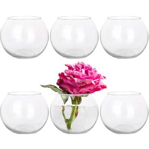 Set of 6 Clear Glass Vases, 4.7 W x 3.5 H, Round Candle Holders, Bubble Bowl, Flower Vases with Sponge Brush, Decorative Centerpieces for Wedding Home Decor