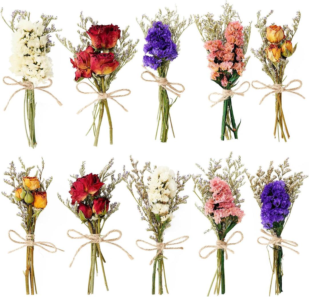 10 Pack Dried Flowers for Vase Various Mini Bouquet Dried Small Wildflowers Natural Real Flowers Bulk for Crafts DIY Wedding Decor (10, Classic Color1)
