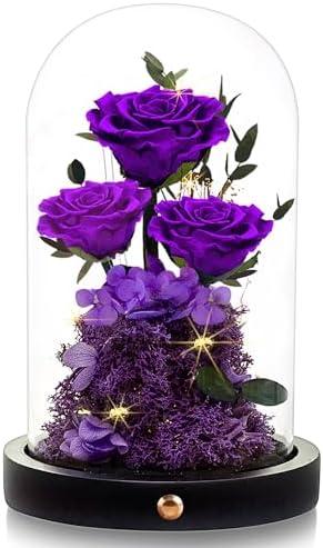 Agrul Flowers Roses Gifts for Mom,Forever Real Preserved Roses in Glass Dome,Mothers Day for Wife Girlfriend Women Best Friend Grandma/Purple Rose