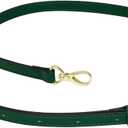 Allzedream Leather Purse Strap Replacement Crossbody Handbag Long Adjustable (Green)