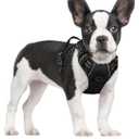 rabbitgoo Dog Harness No Pull with 2 Leash Clips, Adjustable Soft Padded, Reflective Oxford No Choke Pet Vest with Easy Control Handle for Small Dogs, Black, S