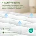 Niagara Sleep Solution Ultra Soft Queen Size Mattress Topper - Viscose Made from Bamboo Pillow Top Mattress Pad for Back Pain Relief - Naturally Cooling for Hot Sleepers, Green