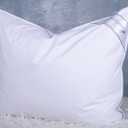 Goose Feathers Down Pillows for Sleeping, Hotel Collection Bed Pillow with Grey Piping Queen Size (20X30IN) 1 Pack (White)