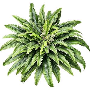 45" Fake Ferns Artificial Plants Large, Artificial Ferns for Outdoors and Indoors, 63 Fronds Faux Fern Greenery Suitable for Planter Hanging Garden Porch Office Decor