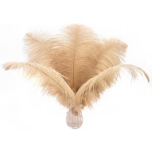 Ballinger Large Champagne Ostrich Feathers - 24pcs 12-14inch Boho Feathers for Vase and Home Decor Wedding Party Centerpieces (12-14 inch - 24Pcs)