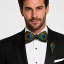 RBOCOTT Handmade Feather Pre-tied Bow tie and Brooch Sets for Men