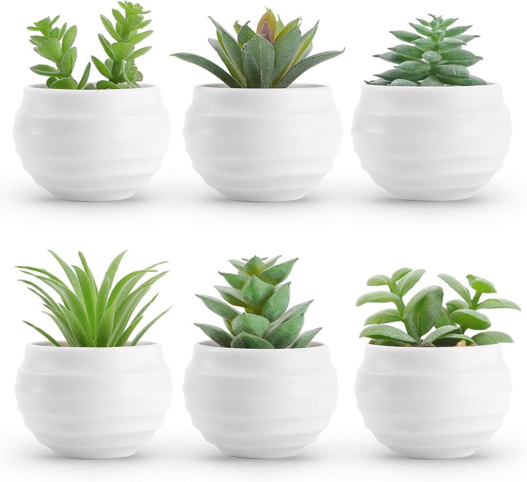 Der Rose Set of 6 Succulents Plants Artificial in Pots Small Fake Plants for Bedroom Aesthetic Living Room Office Shelf Bathroom Decor (White Pots-6 Green)