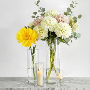 4-Pack Clear Glass Cylinder Vases, 4 Sizes (4/6/8/10 Inch) - Hurricane Floating Candle Holders & Flower Vases for Wedding, Table Centerpiece, Home Dcor