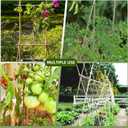 Bamboo Stakes,4.8Ft,50Pack,Bamboo Garden Stakes,for Tomato,Beans,Vegetable and Flowers, Potted Plants,Indoor and Outdoor Climbing Plants