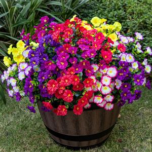 Nigirior Artificial Faux Flowers for Outdoor 16 Bundles Boxwood Fake Morning Glory for Planter, UV Resistant Fake Flowers for Home Porch Patio Outside（8 Color）