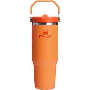 STANLEY IceFlow 2.0 Flip Straw Tumbler with Handle 30 oz | Twist On Lid and Flip Up Straw | Leak Resistant Water Bottle | Insulated Stainless Steel | BPA-Free | Goldenrod Coral