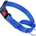 Martingale Collar for Dogs with Buckle, Reflective Dog Choke Collar Escape Proof No Pull Cinch Dog Training Collars Adjustable for Pet Dogs, Blue L (L(Neck16-20"))