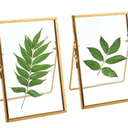 TLBTEK 2 Pcs 5x7 inch Desk double glass Photo frames kit, Gold brass metal Picture Frame vertical for Pressed Flowers, Clear DIY Vintage Artwork Display Frame