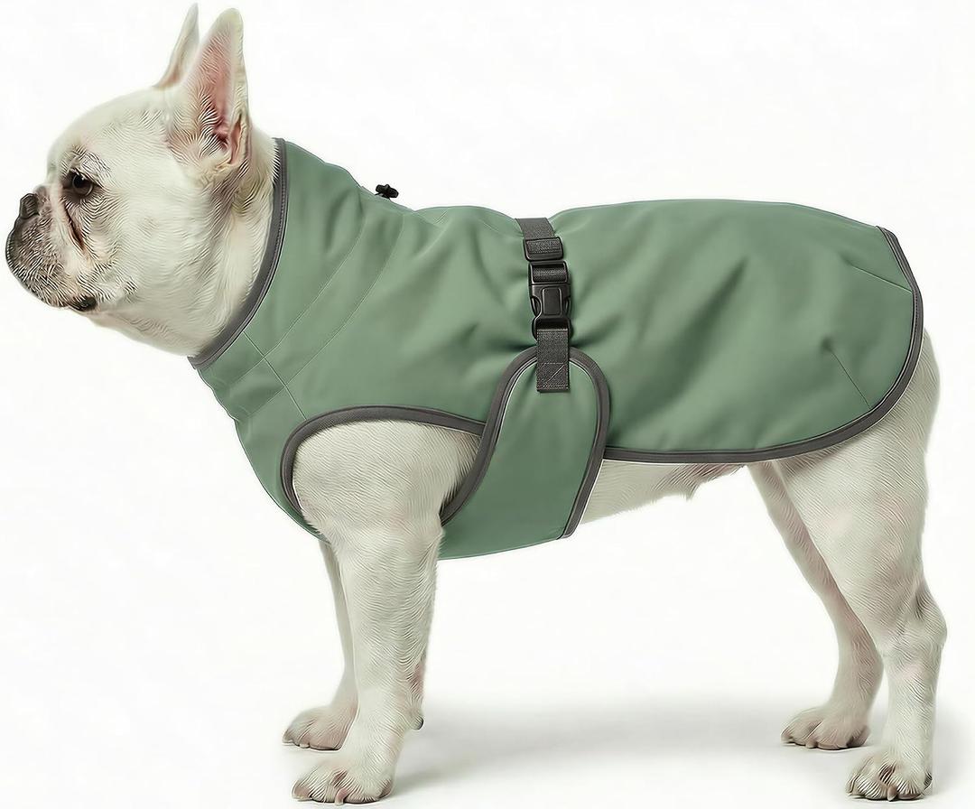 Dog Winter Vest with Fur-Safe Buckle (No Hook & Loop), Water-Repellent Fleece Lined Jacket, 360 Reflective, Leash Hole & Leg Straps, Adjustable for Hiking & Active Dogs (Green, X-Small)