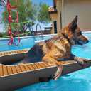 Inflatable Dog Boat Ramp Water Ramp for Pool, Float Floating Dog Ramps with Anti-Slip EVA for Lakes, Boats, Docks
