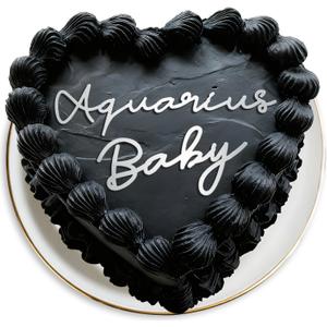 5 x Acrylic Horoscope Cake Topper Party Supplies Zodiac Birthday Cake Decorations for Boys & Girls and Adult Birthday Party (Aquarius Baby Silver), Mix