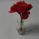 HD Designs Red Armaryllis, 9 in