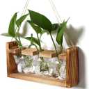 Glass Plant Propagation Station Butterfly Planter Vase with Wooden Stand Birthday Gifts for Women Mom Plant Lovers Office Home Decoration