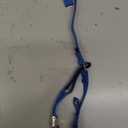 PetSafe Gentle Leader Headcollar No-Pull Dog Collar - Helps Improve Walks - Durable Nylon Construction - Padded Nose Loop - Adjustable Fit - Comfort Walking Halter - Small, Royal Blue