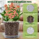 10/8/6/4 Inch Clear Nursery Pots with Drainage Holes and Saucers, 12 Pack Large Clear Pots for Plants Variety Pack, Plastic Nursery Pots for Succulents, Seedings, Herbs, Flowers, Vegetables