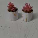 Der Rose Set of 2 Succulents Plants Artificial Mini Fake Succulents Plants for Office Desk Accessories for Women Pink Home Vanity Decor
