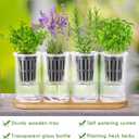 Teenyyou 8 Pcs Hydroponic Herb Planter Growing Kit Self Watering Glass Vase with Wooden Stand Herb Garden Starter Kit for Propagating Hydroponic Plants Centerpiece Office Home Garden Decor
