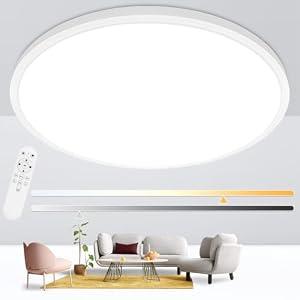 24'' Large Flush Mount Ceiling Light Fixture Dimmable with Remote Control