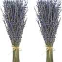 Dried Lavender 2 Bunches 100% Fresh Natural Purple Bouquet Flowers for Bathroom Photo Props Crafts Decoration, 15-17" for Shower Weeding Vase Decor, Home Fragrance(200-220 Stems(100g/3.5oz Total))