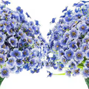 Fake Flowers 13 In Blue White Purple