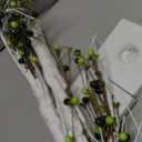 Prelit & Timer - St. Patrick's Day Decorations, 2 Pack 18 Inch St Patricks Day Tree Tabletop Lighted Birch Tree 24 LED Green Lights Shamrock Berries Battery Operated St. Patrick's Day Decor Home Party