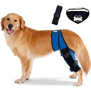 Dog Knee Brace Hind Leg - Orthopedic Brace for Dogs - Integrated Support Strap for Canine Cruciate Ligament, Luxating Patella, Dislocation Injury - Includes Bandana Collar - Blue & Black