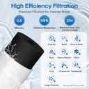 ICEPURE WFS5300A-20 5 Years or 40K Gallons Under Sink Water Filtration System, Ultra High Capacity NSF/ANSI CAN372 & 42 Certified, Direct Connect Drinking Faucet, Removes Chlorine, Odor, Heavy Metals