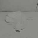 Bridal Veil 4F Long White
