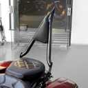 Motorcycle Rear Sissy Bar Detachable Passenger Backrest with Cushion Pad Fit for Harley Touring Road King Street Glide Electra Glide Road Glide FLHR FLHX FLHT FLTR 2009-2025 (Black 16")