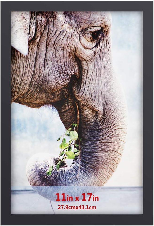 RPJC 11x17 inch Solid Wood Poster Frame for Wall Mounting Hanging Picture Frames Black (11x17, Black)
