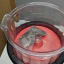 PTKTLAM Magnetic Tumbler, Jewelry Polisher with 7.1”(180mm )Polishing Barrel & 200g Burnishing Pins for Jewelry，Automatic forward and reverse rotation(KT-185)