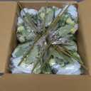 Peonies Artificial Flowers 12 Bundles Pink Flowers Bouquet, Lifelike Silk Fake Peonies with Stems for Home Table Centerpieces, Wedding, Party & DIY Bridal Floral Arrangements (Blue)