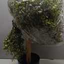 2 Pack 24.5Inch Artificial Topiary Ball Plants, Faux Boxwood Ball in Pot, Fake Outdoor Indoor Plant