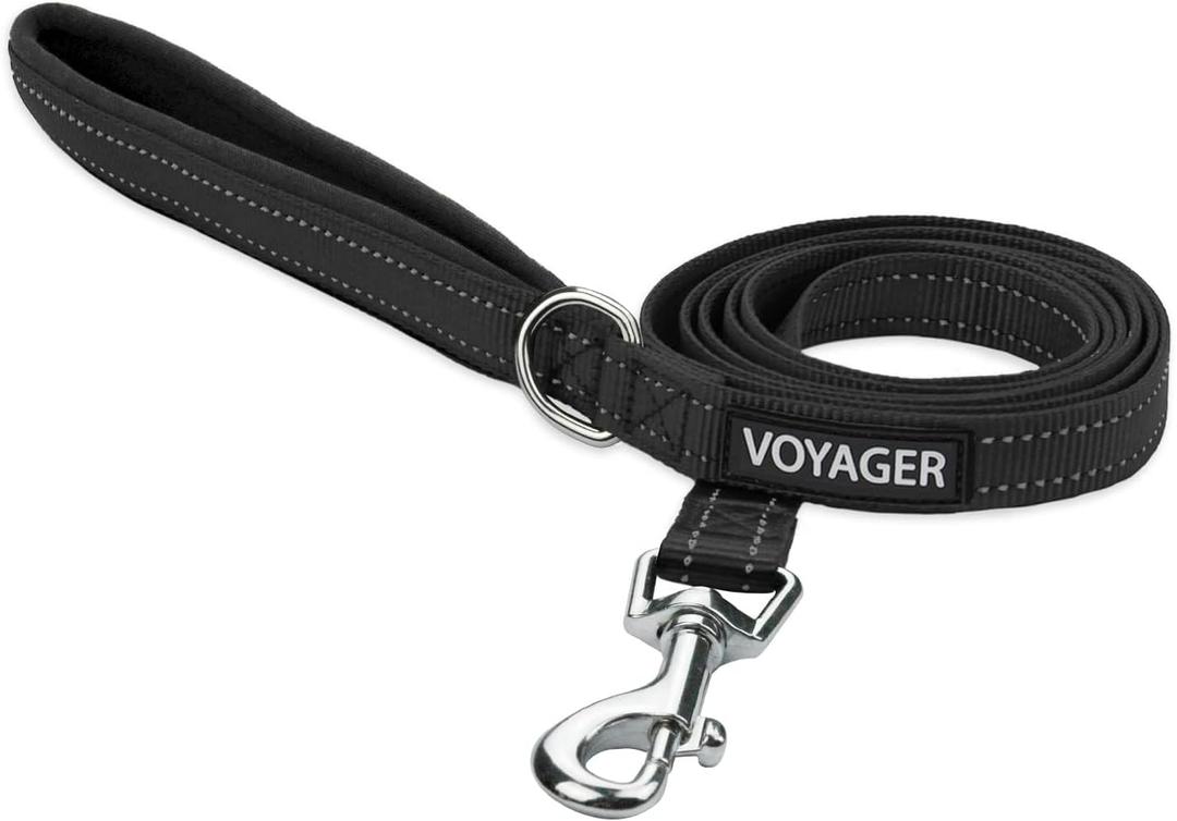 Best Pet Supplies Voyager Reflective Dog Leash or Collar with Neoprene Handle, for Small, Medium, and Large Breed Puppies, Cute and Heavy Duty for Walking, Running and Training - Black (Leash), S (5/8" x 5ft)