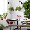 Plant Hanger Outdoor(6 Inch/2 Pack) Heavy Duty Hanging Plant Bracket for Hanging Plants Outside, Plant Wall Hooks for Bird Feeders, Wind Chimes, Flower Baskets