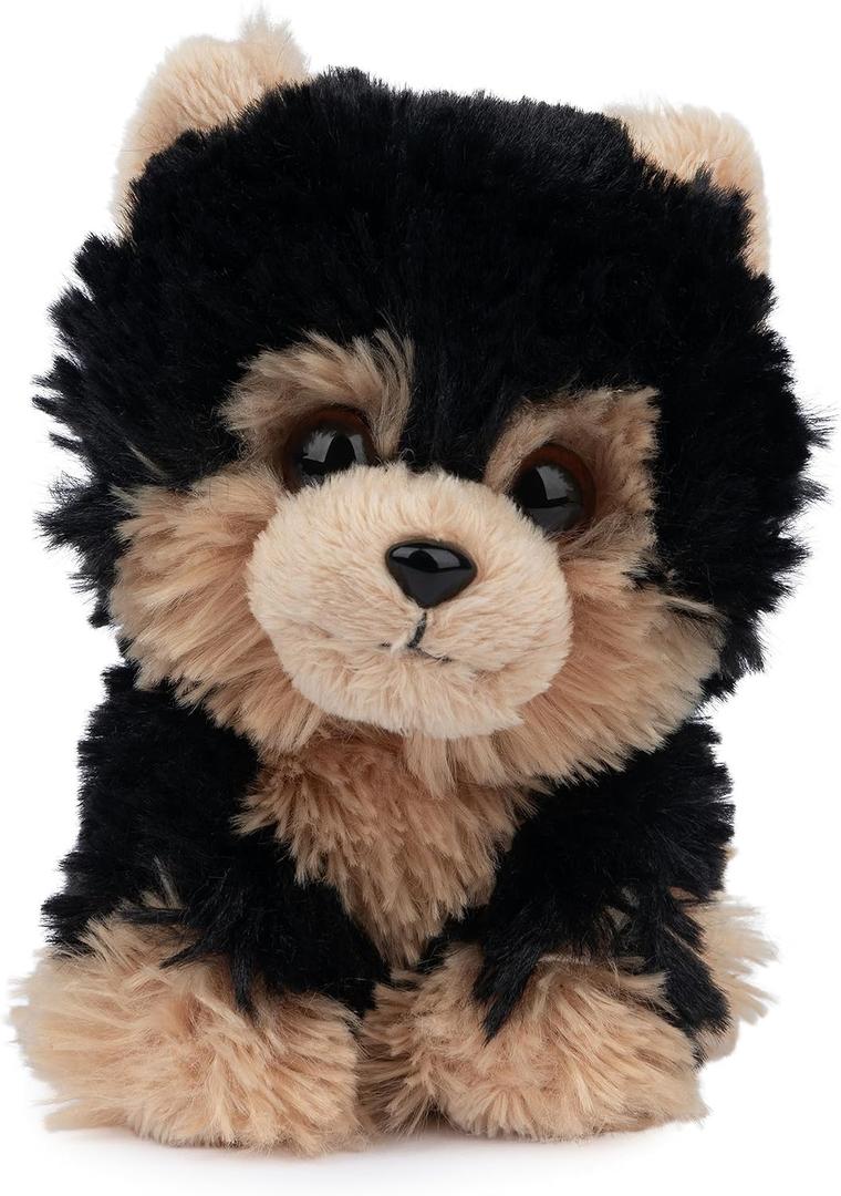 GUND Boo, The Worlds Cutest Dog, Boo & Friends Collection Yorkie Puppy, Stuffed Animal for Ages 1 and Up, 5
