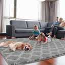 Puremy Shag Area Rug 5x7 Feet Extra Soft Rugs for Living Room, High Pile Indoor Carpet for Bedroom, Kids Room, Nursery, Home Decor, Geometric, Light Grey/White