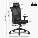 FelixKing Ergonomic Office Chair, Adjustable Lumbar Support, Breathable Mesh Backrest, 18-inch Black