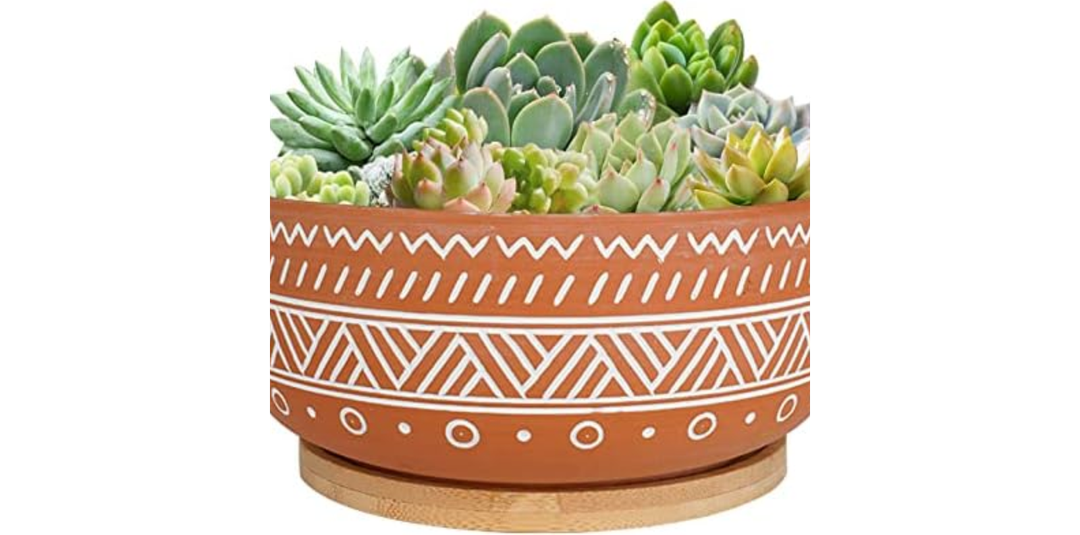 Thirtypot 8 Inch Large Round Terracotta Succulent Planter Pot with Drainage Hole and Saucer, Shallow Bonsai Pot for Indoor