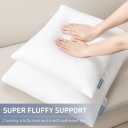 Leeden 20x20 Throw Pillow Inserts Set of 4, Pillow Forms for Couch
